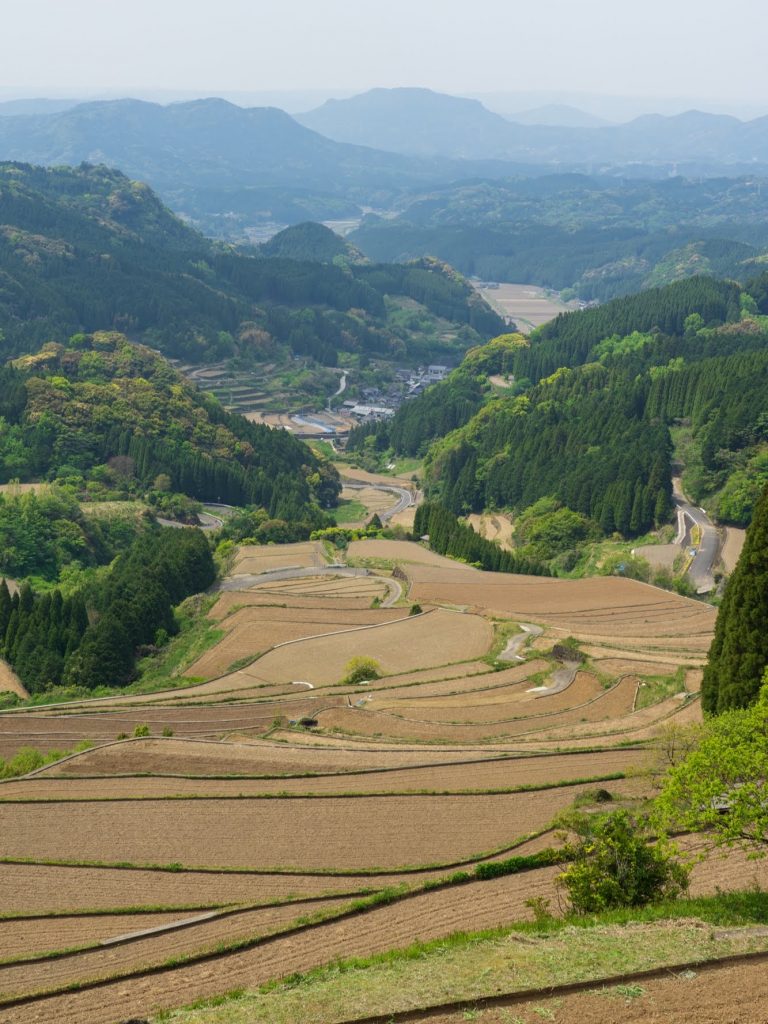 蕨野の棚田