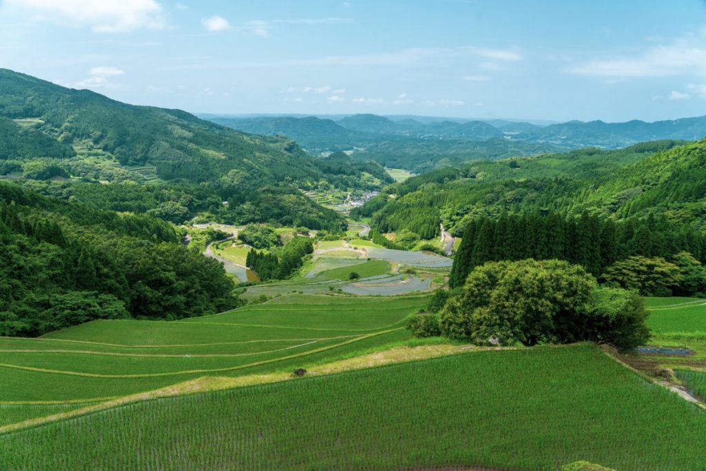 蕨野の棚田